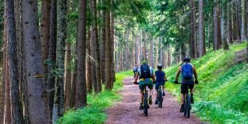 People cycling in the forest