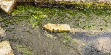 stone arrow pointing westwards into a stream bed