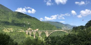 A bridge surrounded by nature