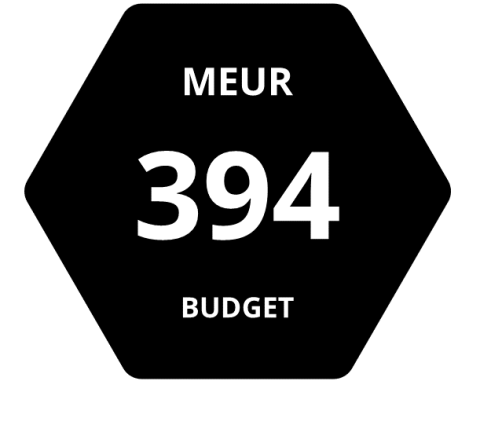 Hexagon with the total budget of the programme