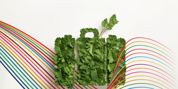 A handbag made of green leaves with coloured threads around  